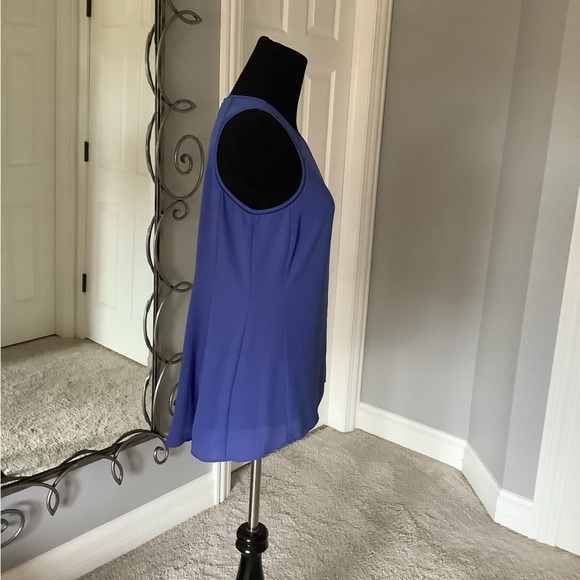 Periwinkle Perfect! - Picture 3 of 6